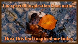 Unexpected Inspiration from Nature  This leaf inspired me today [upl. by Ibor]