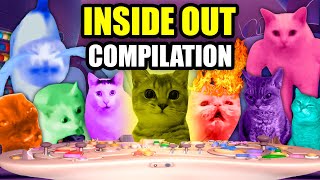 CAT MEMES CATs IN INSIDE OUT COMPILATION [upl. by Gaylene]