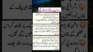 Barso puranay Hakeem luqman Kay lotkay and I have quotes sadpoet allama couplet barjeel haqooq [upl. by Drofdeb111]