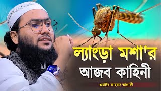 ল্যাংড়া মশার আজব কাহিনী  শুয়াইব আহমদ আশ্রাফী  Shuaib Ahmed Ashrafi  Ashrafi Bangla Waz 2024 [upl. by Noiraa59]