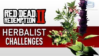 Red Dead Redemption 2  Herbalist Challenge Guide [upl. by Iralam]