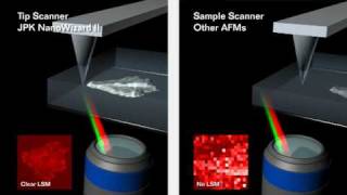 Atomic Force Microscopy  JPK NanoWizard® AFM  tip scanner vs sample scanner [upl. by Peery]