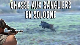 Chasse aux sangliers en Sologne [upl. by Anyr]