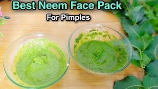 Neem Face Pack Neem Face Pack For Acne amp Pimples Neem Face Pack At Home Diy Neem Face Pack [upl. by Noli]