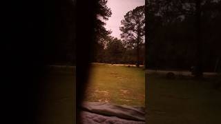 I took a video of lightning and slowed it thunder capcut weather naturaldisaster cool idk [upl. by Khanna]