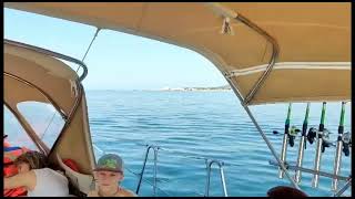 Beautiful boat trip on a yacht [upl. by Barn]