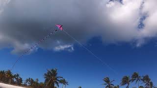 2022  Oct 6th  My Dragon Kite [upl. by Gael]