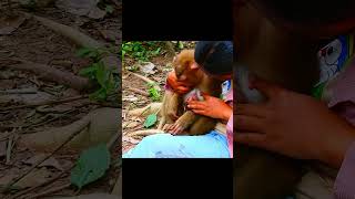 Owner and Flora with newborn monkey puppy shortmonkeysanimal [upl. by Caswell]