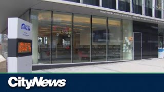 Toronto Public Library holding board meeting amid ransomware attack [upl. by Cida]