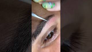 Eyebrow Extensions 🤎 Grow your eyebrow fast 🏃‍♂️ [upl. by Baldwin]