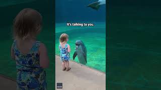 Little girl and super social dolphin stop to have a sweet chat  Humankind shorts goodnews [upl. by Anig131]