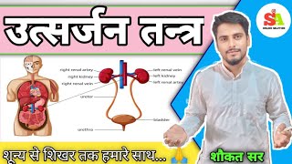 Excretory system  उत्सर्जन तंत्र  class 10 biology chapter 1 [upl. by Anawait]