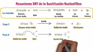 Sustitución Nucleofílica SN1 [upl. by Oznohpla]