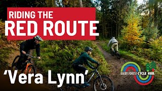 Mountain Biking In Dalby Forest Red Route  Vera Lynn [upl. by Eisler]