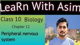 10th biology chapter 2  Peripheral nervous system  chapter 12 coordination and control [upl. by Secnarf567]