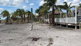 Coconut Charlie’s beachvolleyball court in St Pete Beach after two hurricanes 🌀 [upl. by Ondrea]