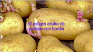 El peligro oculto de patatas con brotes [upl. by Recneps]