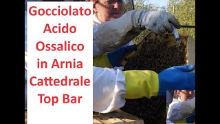 Gocciolato Acido Ossalico in Arnia Cattedrale Top Bar [upl. by Liponis576]