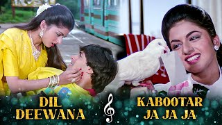 Dil Deewana X Kabootar Ja Ja Ja  Bhagyashree Superhit Songs  Salman Khan Songs [upl. by Arobed]