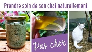 Comment prendre soin de son chat naturellement  concours [upl. by Katharina319]