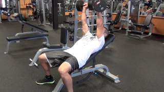 How to do a 3 Angle Dumbbell Chest Press [upl. by Karly]