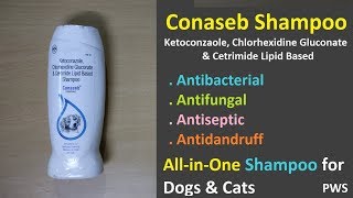 Conaseb Dog Shampoo Infomration  Antibacterial Antifungal Anti Dandruff [upl. by Yun]