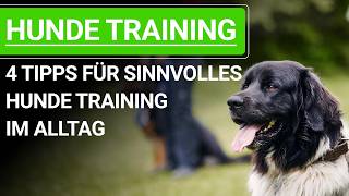 💥🐶 Stephanie Salostowitz 4 Tipps für sinnvolles Hunde Training im Alltag 🐕🐶💥✔️ [upl. by Enuj]