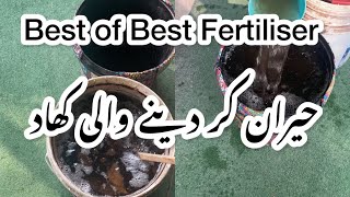 Best of Best FertilizerSurprise kar dainay wali fertilizer [upl. by Eliades677]