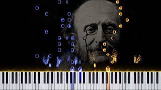 Infernal Galop Offenbach Piano Cover [upl. by Iram]