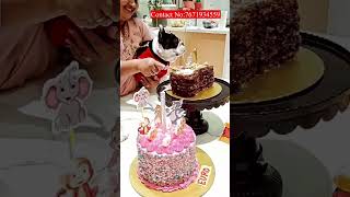 CELEBRATE DOG BIRTHDAY CAKES 🎂🐕  NATURAL DOG CAKES HYDERABAD PET FOOD SHOP [upl. by Asiilanna]