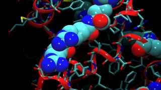 An Introduction to Molecular Dynamics [upl. by Eiser]