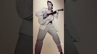 Elvis Presley’s life at Bendigo art gallery on till July [upl. by Aneled]