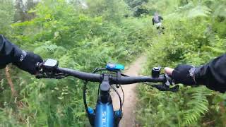 EMTB  Dalby Forest highlights of the red trail [upl. by Nemsaj]