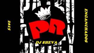 ENGANCHADOS DE PATRICIO REY Y SUS REDONDITOS DE RICOTA DJ SHEVA 2015 [upl. by Annoirb825]