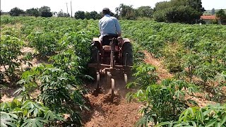 passando carpideira na mandioca com Agrale 4 100 [upl. by Marcos]