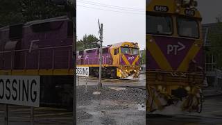 Warragul shuttles passing level crossing [upl. by Yevreh]