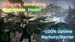 100 Uptime on WarhornBarrier  Nightblade Healer Ultimate Regen  Elder Scrolls Online ESO [upl. by Noell]