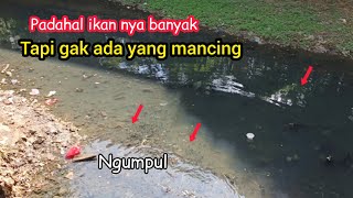 gak ada yang mancing padahal ikan nya bamyak  mancing liar jakarta [upl. by Nick671]