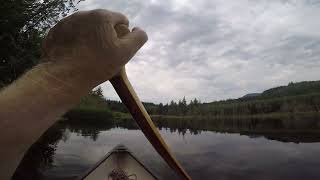 canoe south end of lake leland [upl. by Aissac]