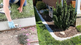 DIY Concrete Landscape Edging  My experience [upl. by Aknaib]