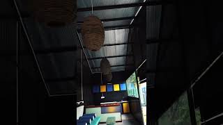 Budget Hostels amp Dorms in Weligama [upl. by Crisey]