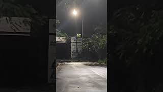 Bhoot hai 😱 please subscribe kra or like kra comment share kar do guysYahrishtaKyakhlta shorts [upl. by Ellehcor860]