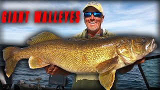 New Ways to Catch GIANT Walleyes [upl. by Sajet]