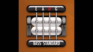 Perfect Guitar Tuner Bass E Standard  E A D G [upl. by Bensky]