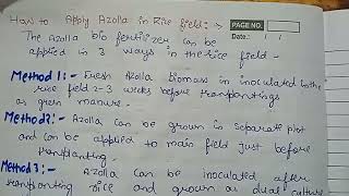 Azolla in Rice cultivationHow to apply Azolla in Rice fieldBenefits of Incorporating Azolla inrice [upl. by Haiasi]