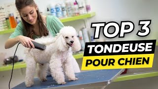 TOP 3  Meilleure Tondeuse pour Chien 2023  Comparatif [upl. by Heindrick456]