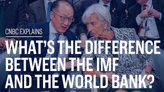 Whats the difference between the IMF and the World Bank  CNBC Explains [upl. by Rriocard]