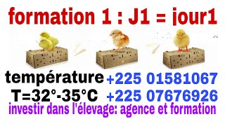 Élevage comment faire le chauffage des poussins au jour 1J1 [upl. by Cummins525]