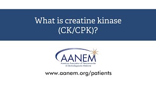 What is creatine kinase [upl. by Hassin]