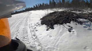 Video 240529V CF8Kid Lobstick Cabin our next stop [upl. by Namijneb273]